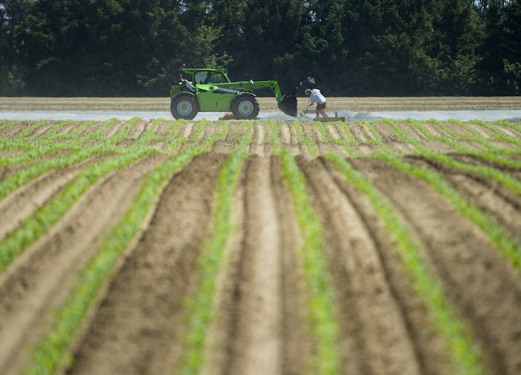 employer/employee-power-imbalances-should-be-addressed-by-new-rules-on-migrant-farm-laborers